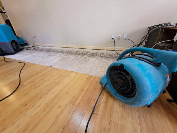 Professional Water Damage Repair technician working in Buena Vista, CO
